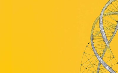 Streamlining Compliance: A Global Pharmaceutical Company’s Third-Party Due Diligence Transformation